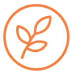 Orange icon of a leaf stem with three leaves, symbolizing nature, growth, and spiritual reflection