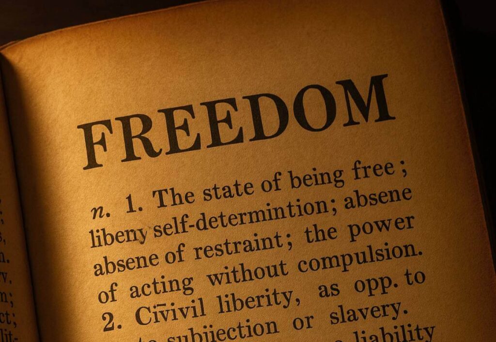 freedom manifesto dictionary definition choosing constraints