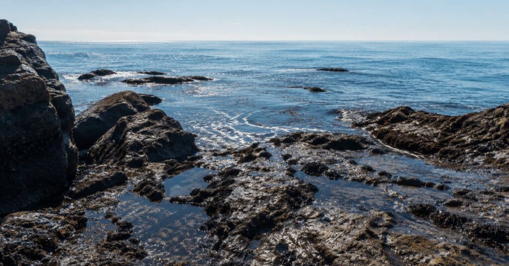 Rocky Pacific reef and tide pools at low tide, sea meeting the horizon. Featured image for Where Water Meets Sky on Sayspire.