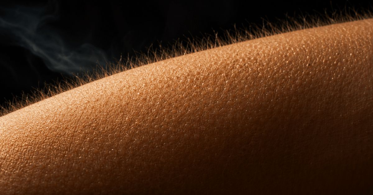 Goosebumps rising on bare skin in a cool breeze, a the way she looks at me poem by Joshua Cintron.